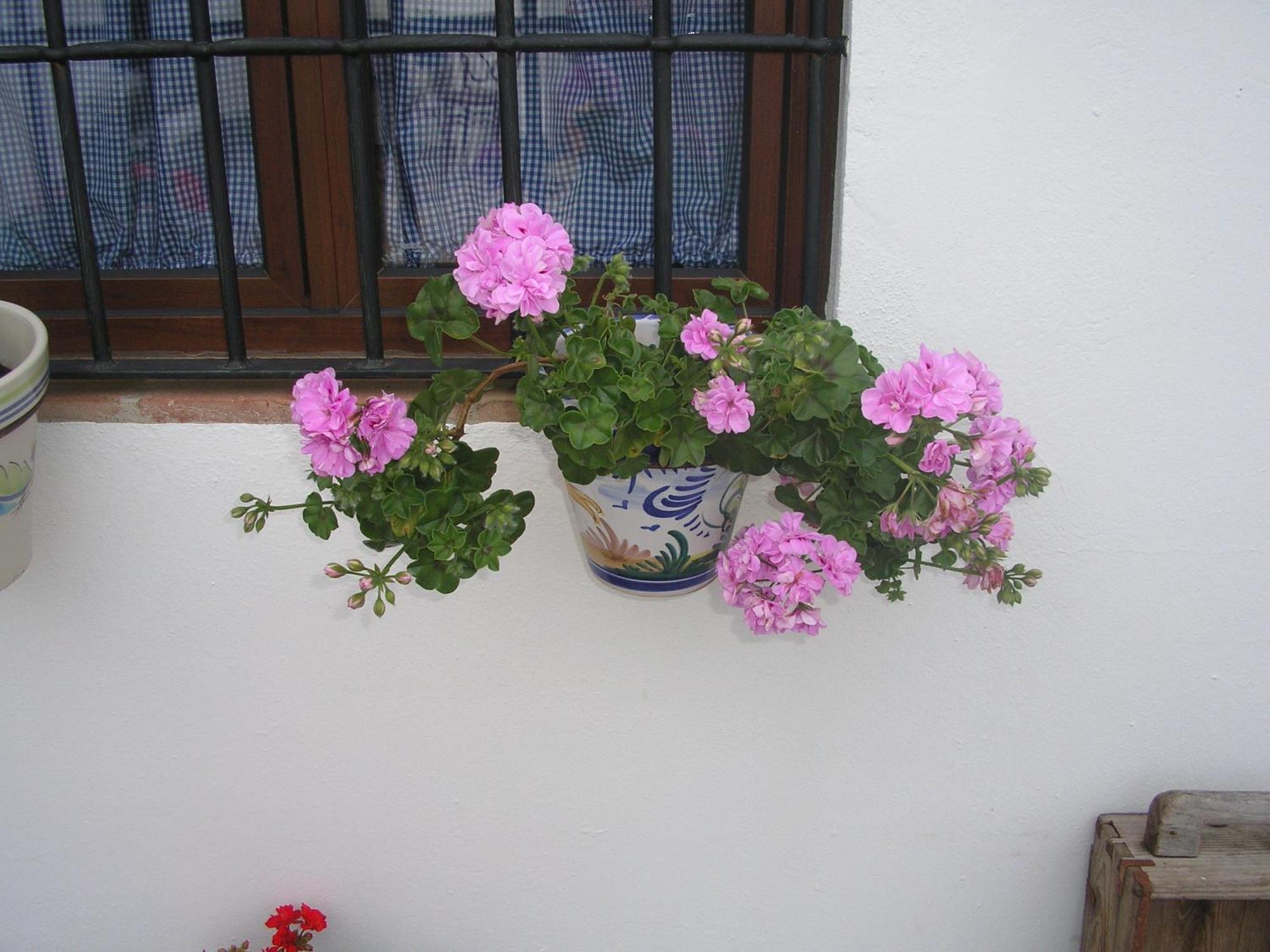 Pensjonat Casa Rural Y Restaurante Casa Adriano Alanís Zewnętrze zdjęcie