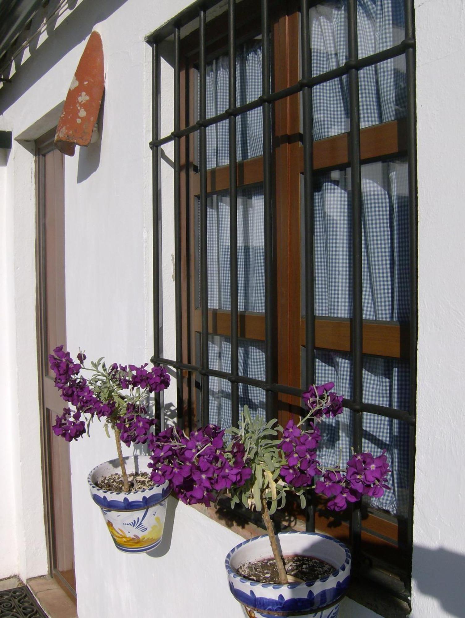 Pensjonat Casa Rural Y Restaurante Casa Adriano Alanís Zewnętrze zdjęcie