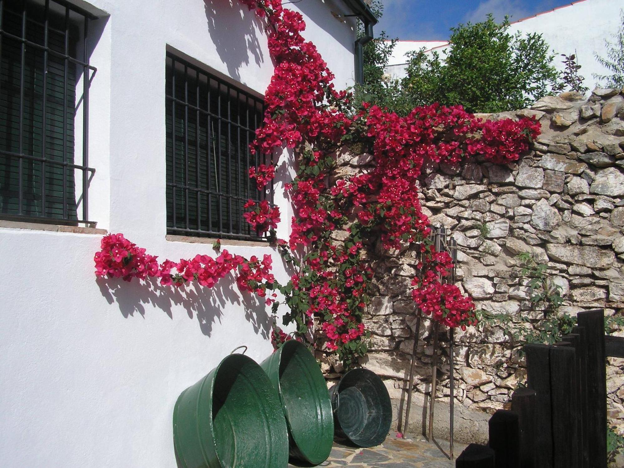Pensjonat Casa Rural Y Restaurante Casa Adriano Alanís Zewnętrze zdjęcie